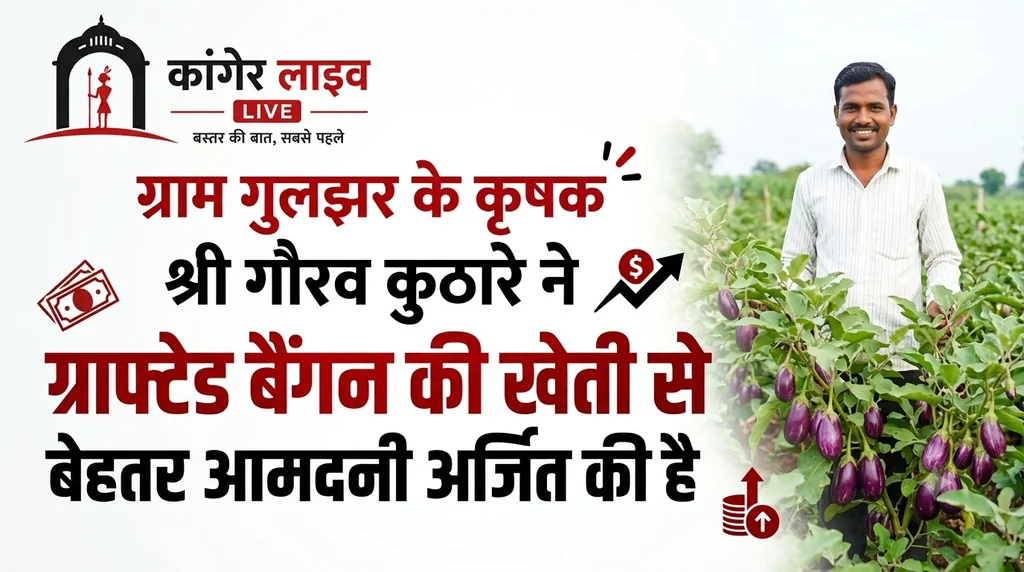 बदलाव की कहानी : ग्राफ्टेड बैंगन की खेती से गौरव की बढ़ी आमदनी